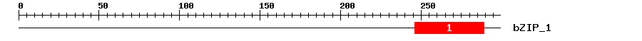 Signature Domain