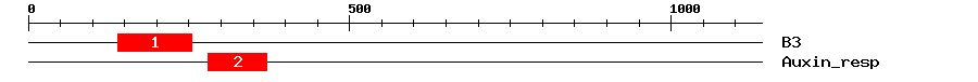 Signature Domain