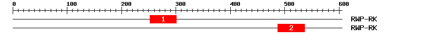 Signature Domain