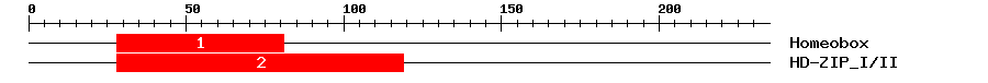 Signature Domain