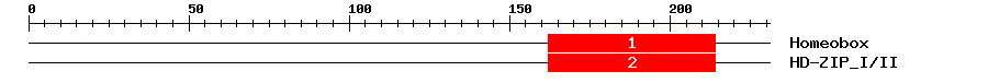 Signature Domain