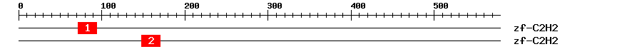 Signature Domain