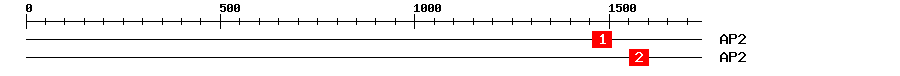Signature Domain
