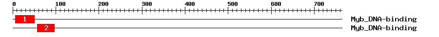 Signature Domain