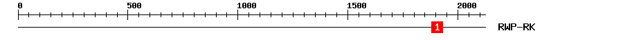 Signature Domain