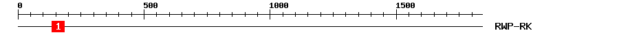 Signature Domain