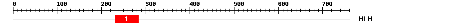 Signature Domain