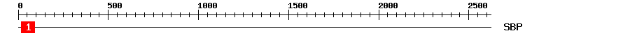 Signature Domain