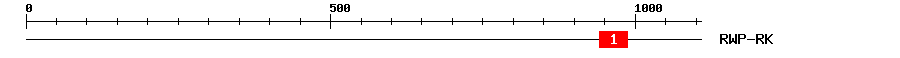 Signature Domain