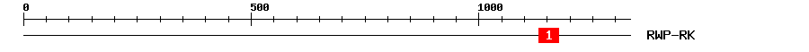 Signature Domain