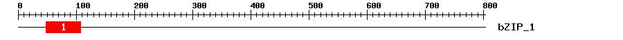 Signature Domain