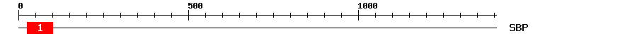 Signature Domain