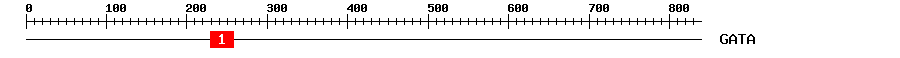 Signature Domain