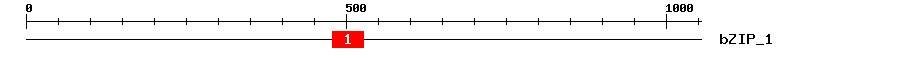 Signature Domain