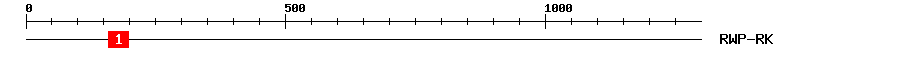 Signature Domain
