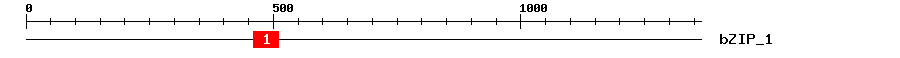 Signature Domain