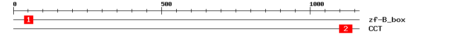 Signature Domain