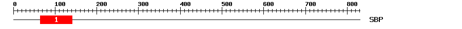 Signature Domain