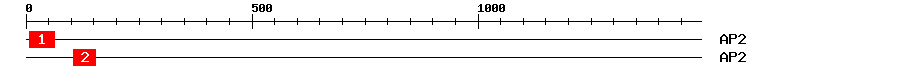 Signature Domain