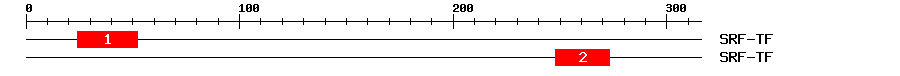 Signature Domain