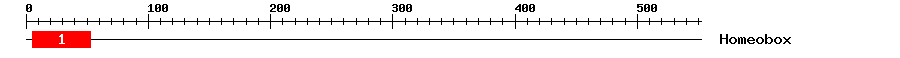 Signature Domain