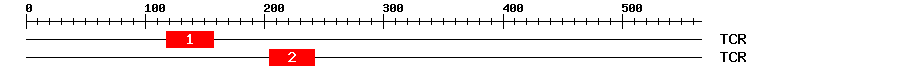 Signature Domain