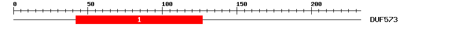 Signature Domain