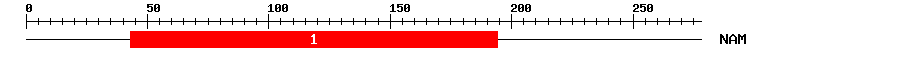 Signature Domain