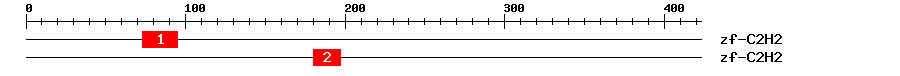 Signature Domain