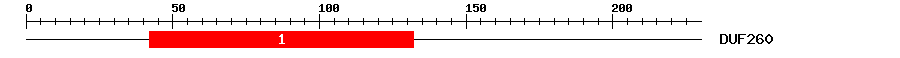 Signature Domain
