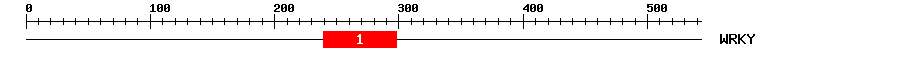 Signature Domain