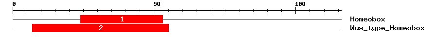 Signature Domain