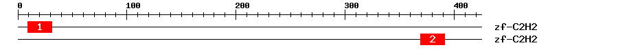 Signature Domain
