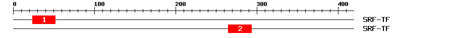 Signature Domain