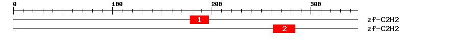 Signature Domain