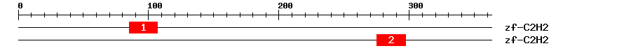 Signature Domain