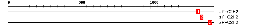 Signature Domain