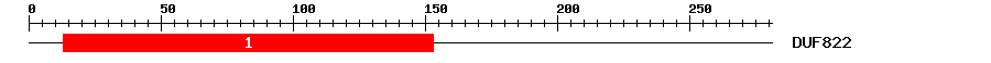 Signature Domain