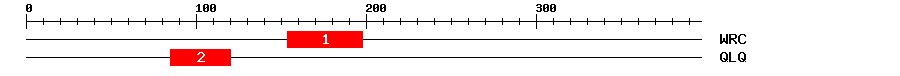Signature Domain