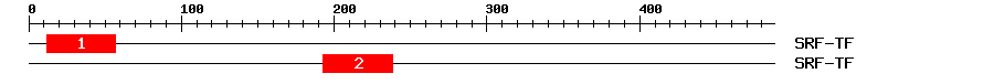 Signature Domain