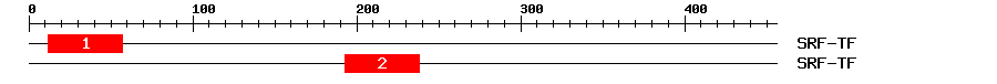 Signature Domain