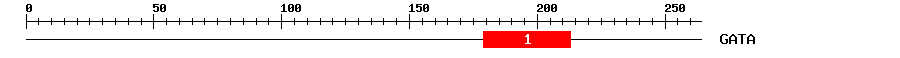 Signature Domain