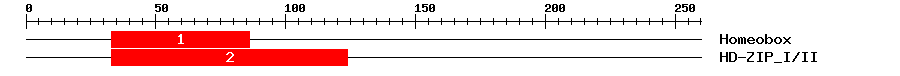 Signature Domain