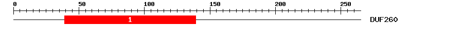 Signature Domain