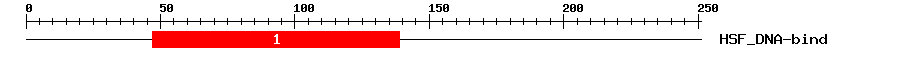 Signature Domain