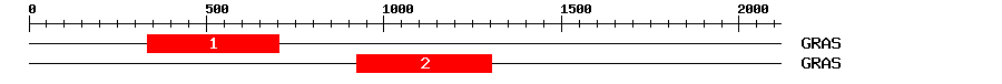 Signature Domain