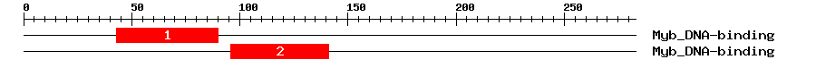 Signature Domain