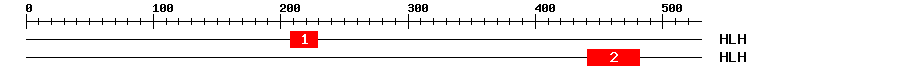 Signature Domain