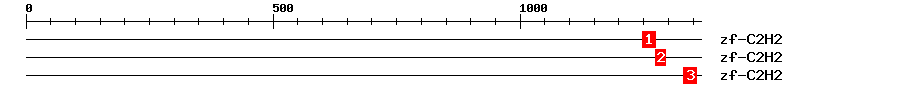 Signature Domain