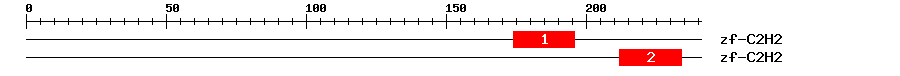Signature Domain